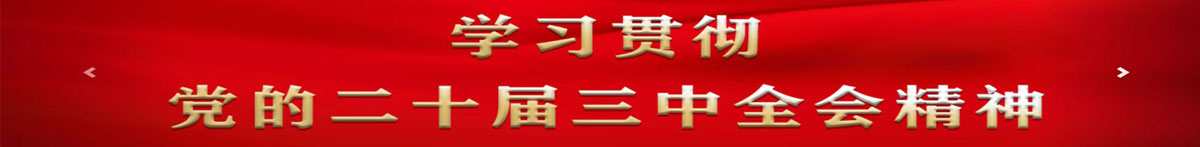 学习贯彻党的二十届三中全会精神